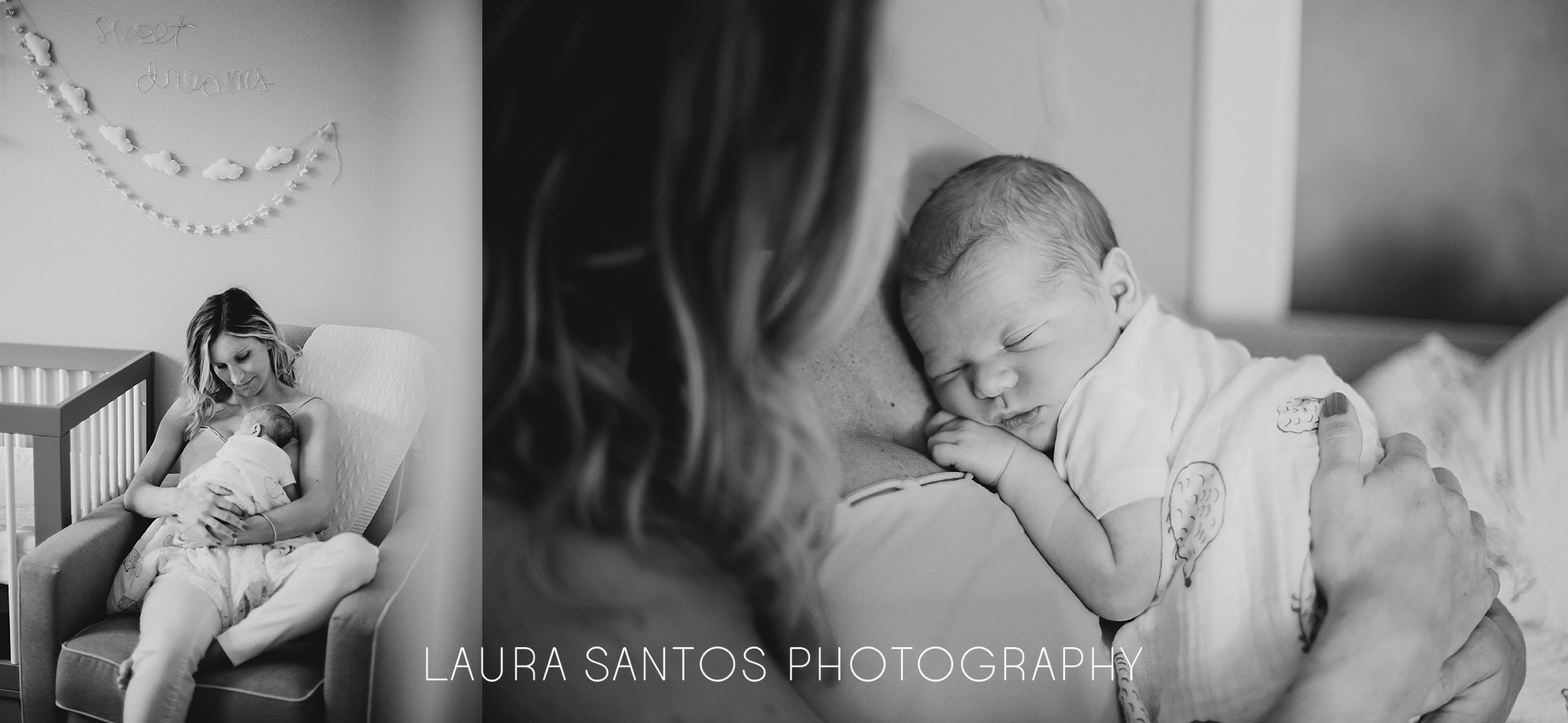 Laura Santos Photography Portland Oregon Family Photographer_0300.jpg