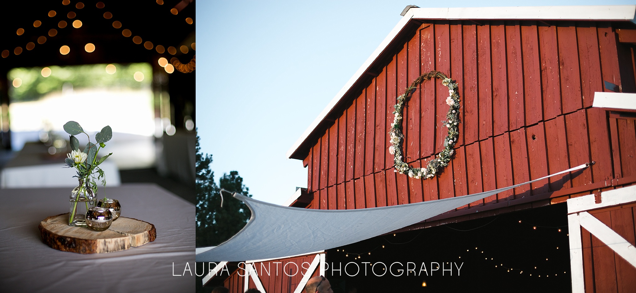 Laura Santos Photography Portland Oregon Family Photographer_0346.jpg