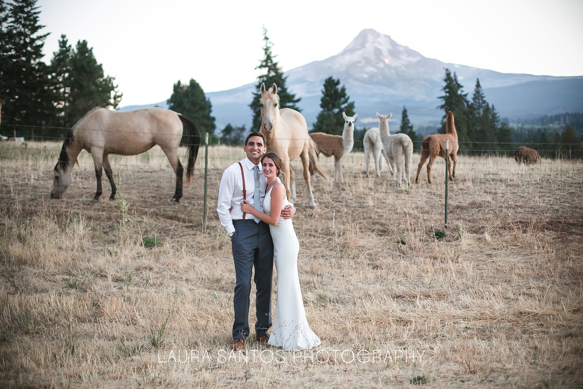 Laura Santos Photography Portland Oregon Family Photographer_0371.jpg