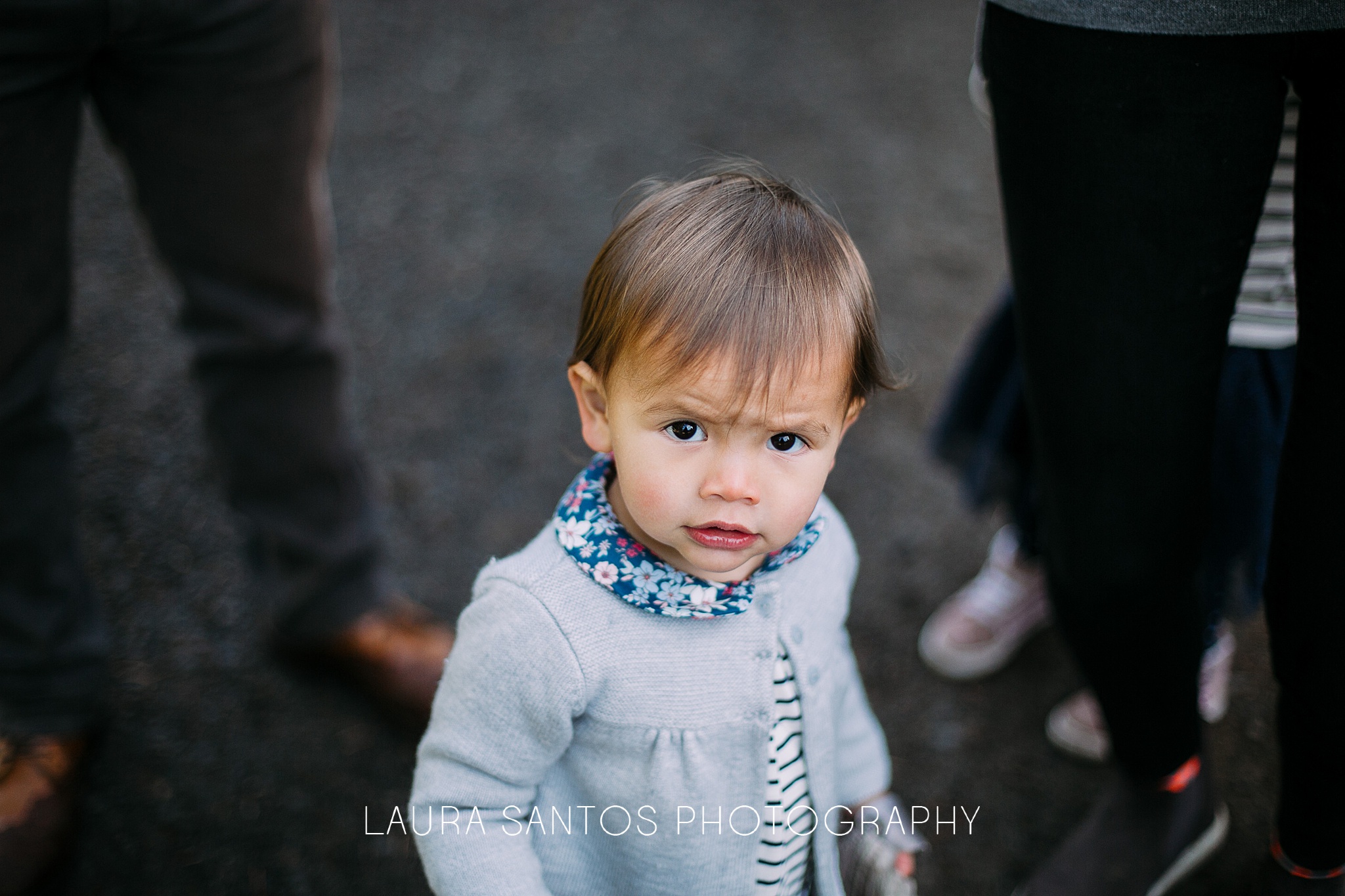 Laura Santos Photography Portland Oregon Family Photographer_0527.jpg