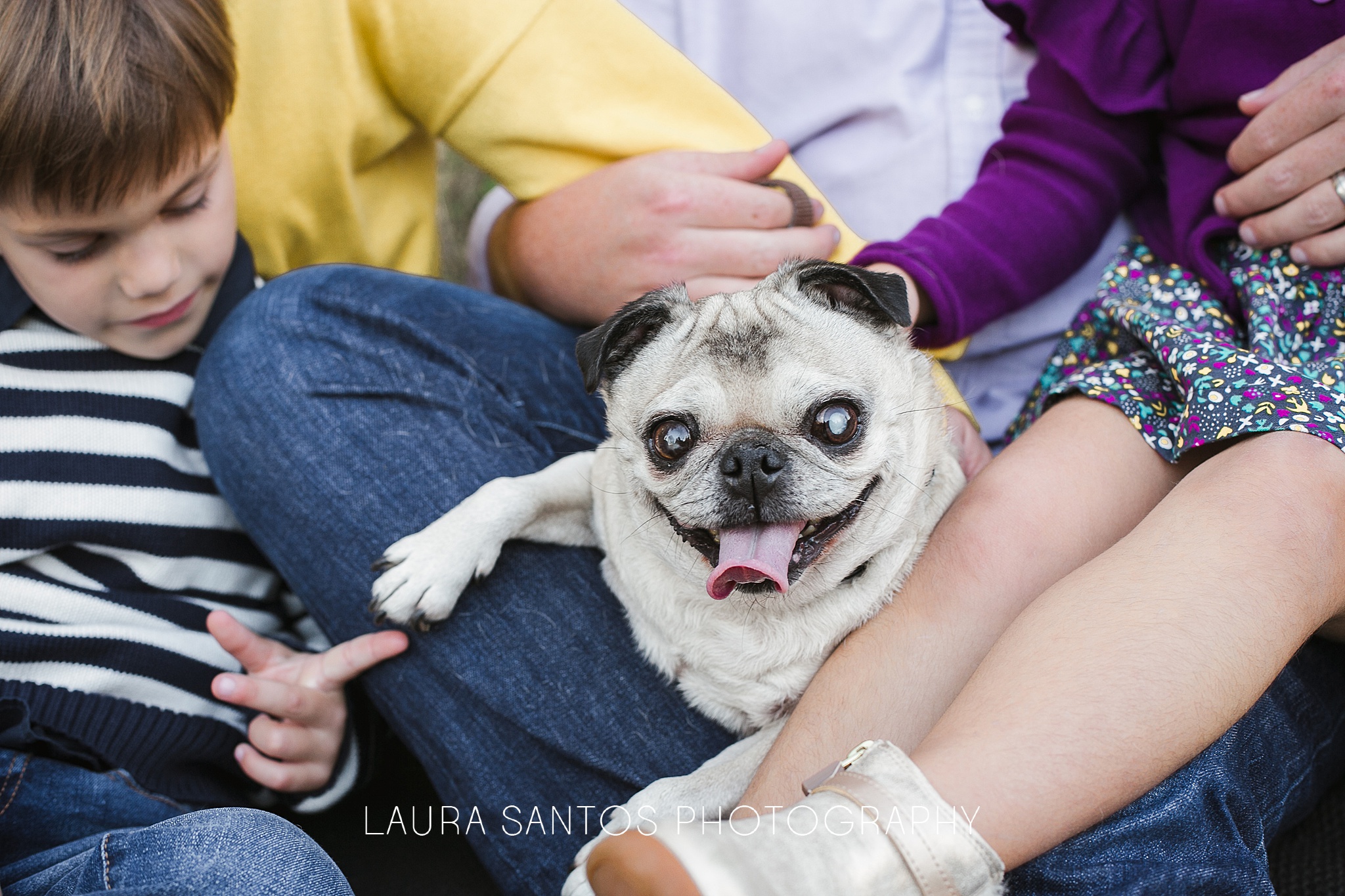 Laura Santos Photography Portland Oregon Family Photographer_0845.jpg