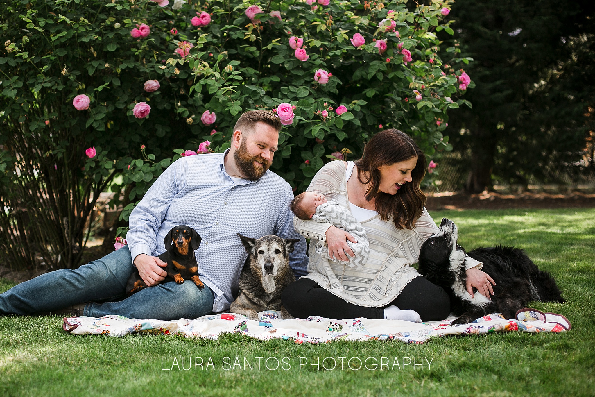 Laura Santos Photography Portland Oregon Family Photographer_0979.jpg