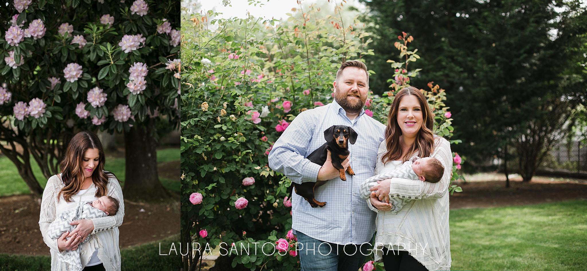 Laura Santos Photography Portland Oregon Family Photographer_0992.jpg