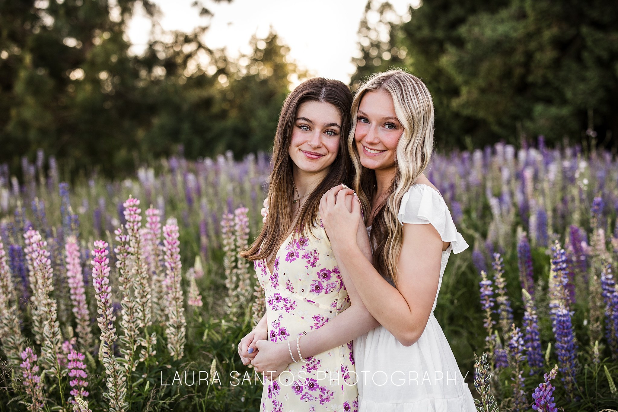 Laura Santos Photography Portland Oregon Family Photographer_4184.jpg