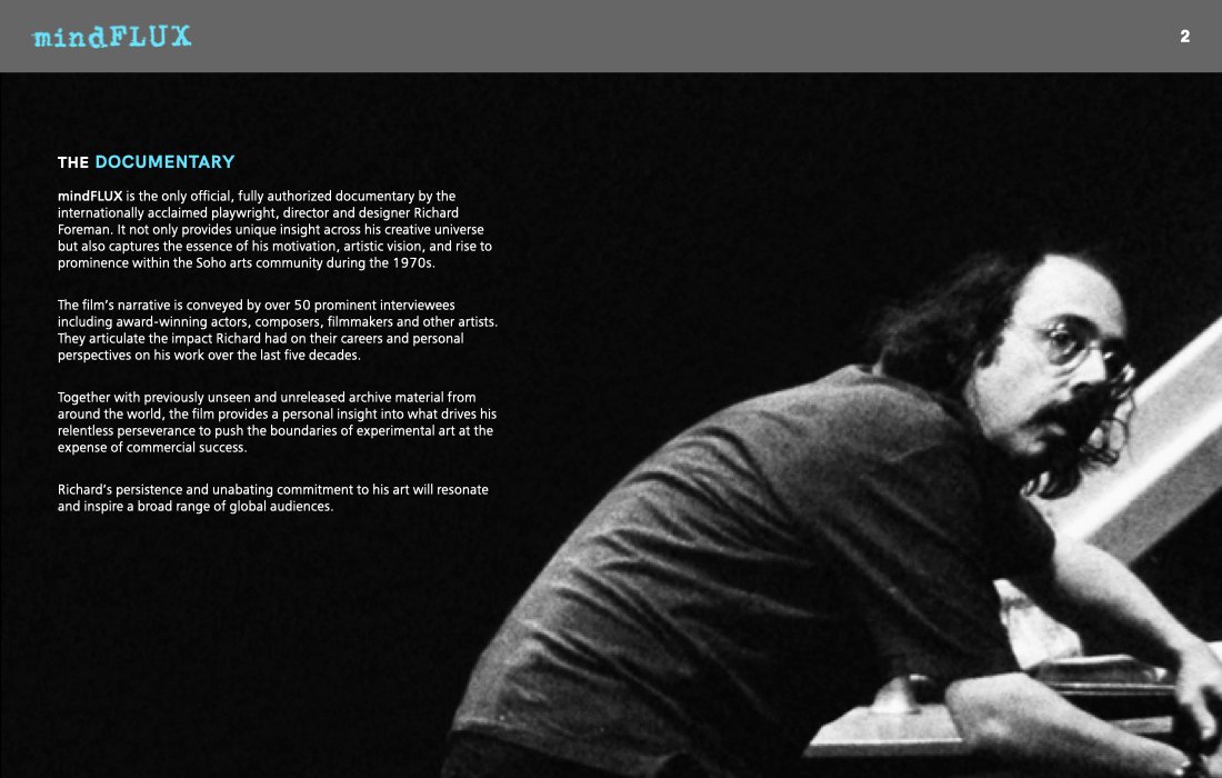 mindFLUX 2023-PG3.jpeg