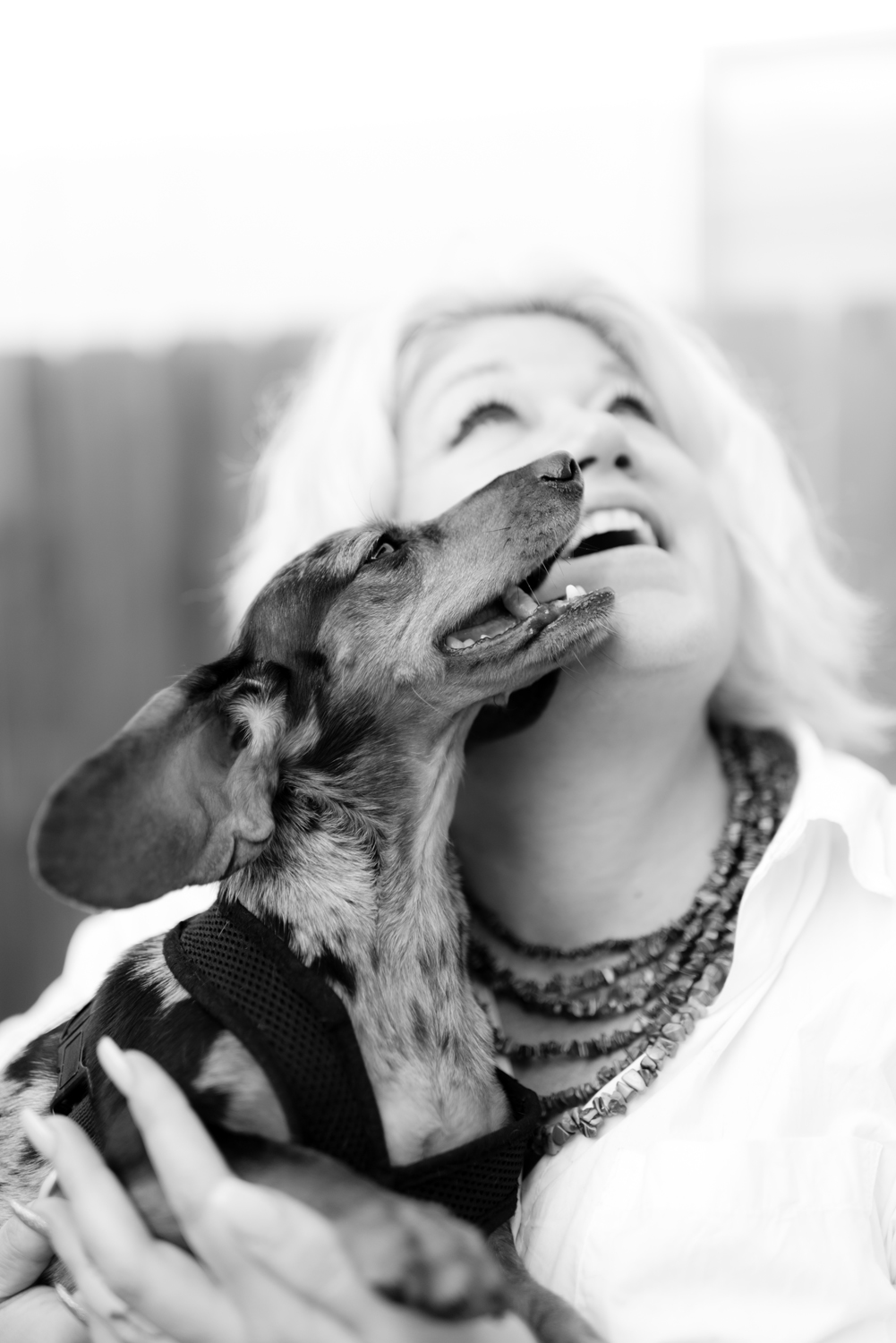 Blog_SeniorTails_JakeBagelWedding027.jpg