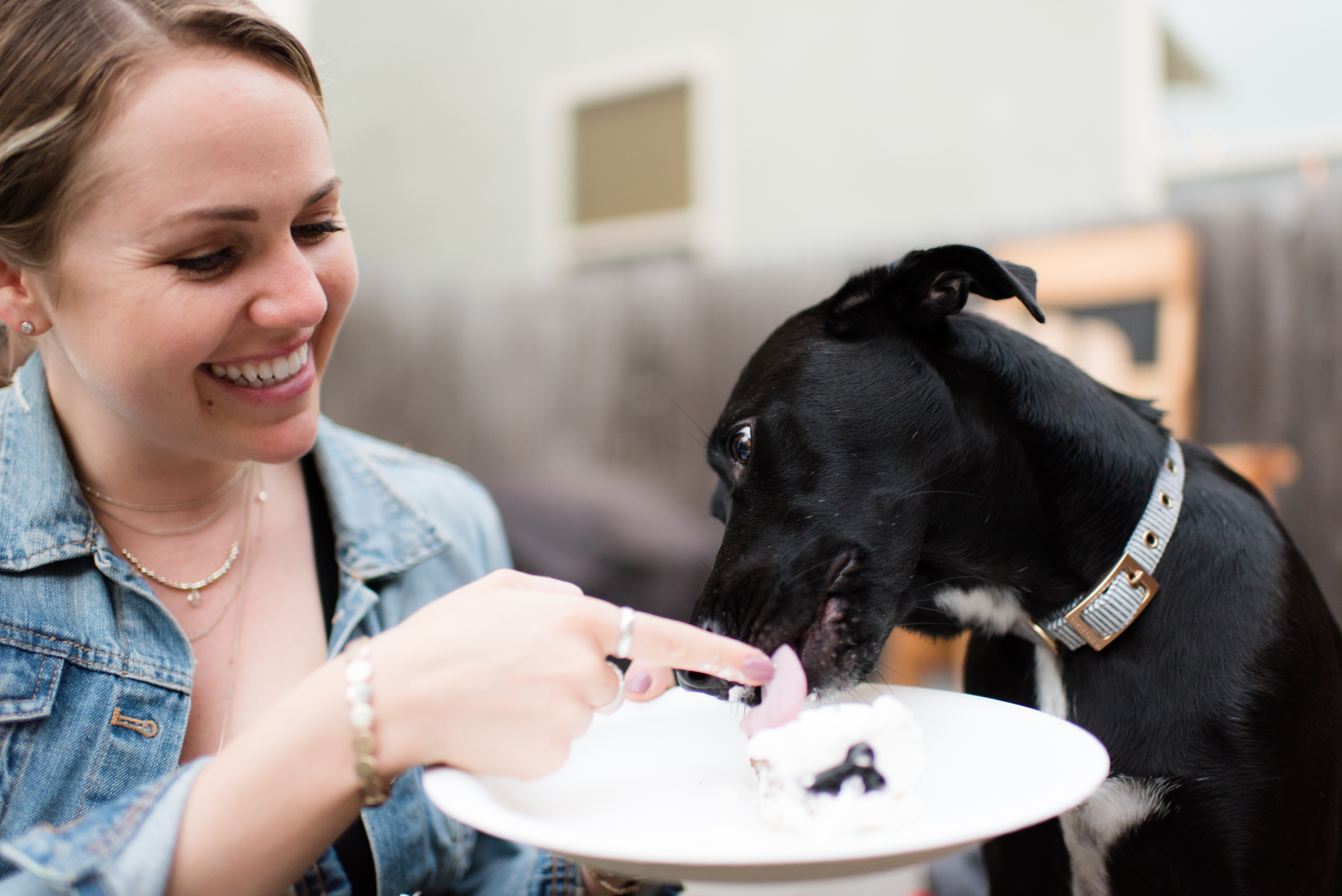 Blog_SeniorTails_JakeBagelWedding039.jpg