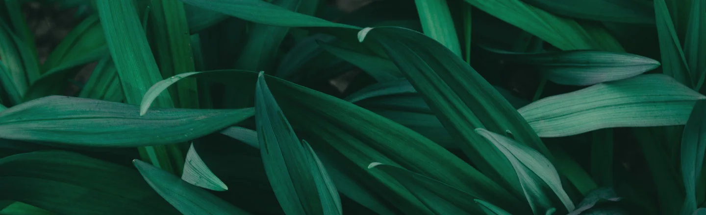 banner_0102.jpg