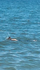 Pam Swim 2.jpg