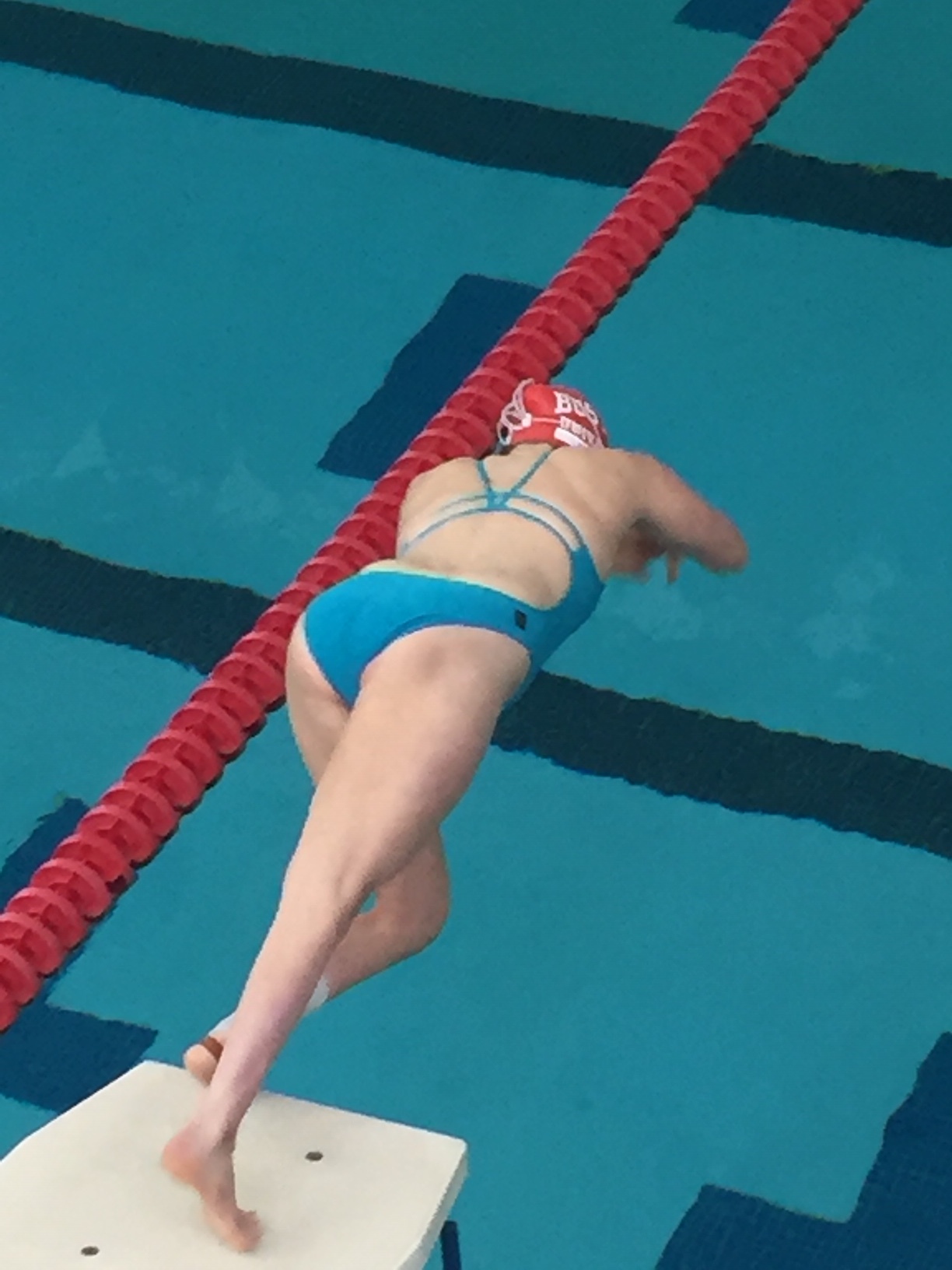 meredith diving.jpeg