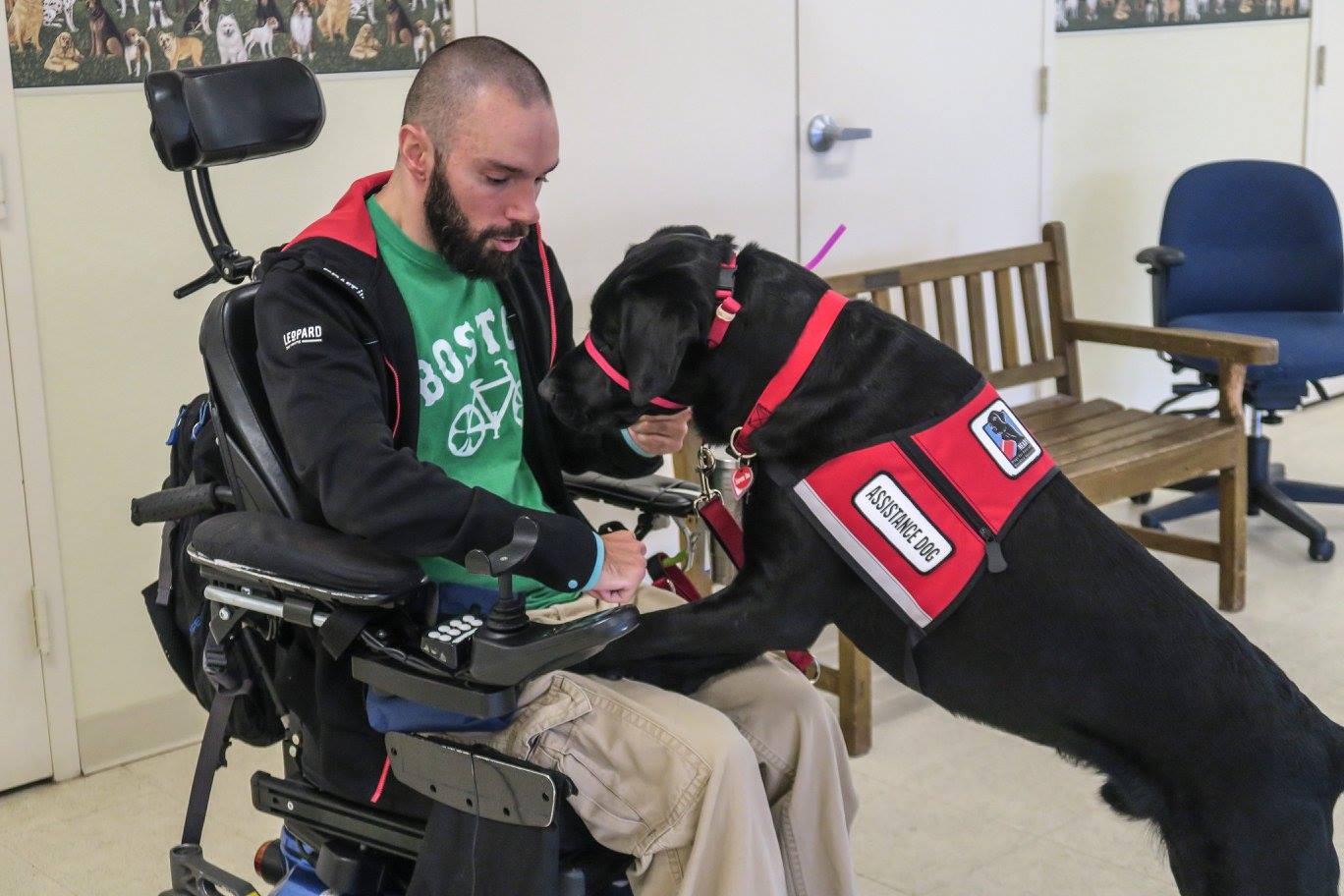 Answering The Faq About My Service Dog Sciboston Org