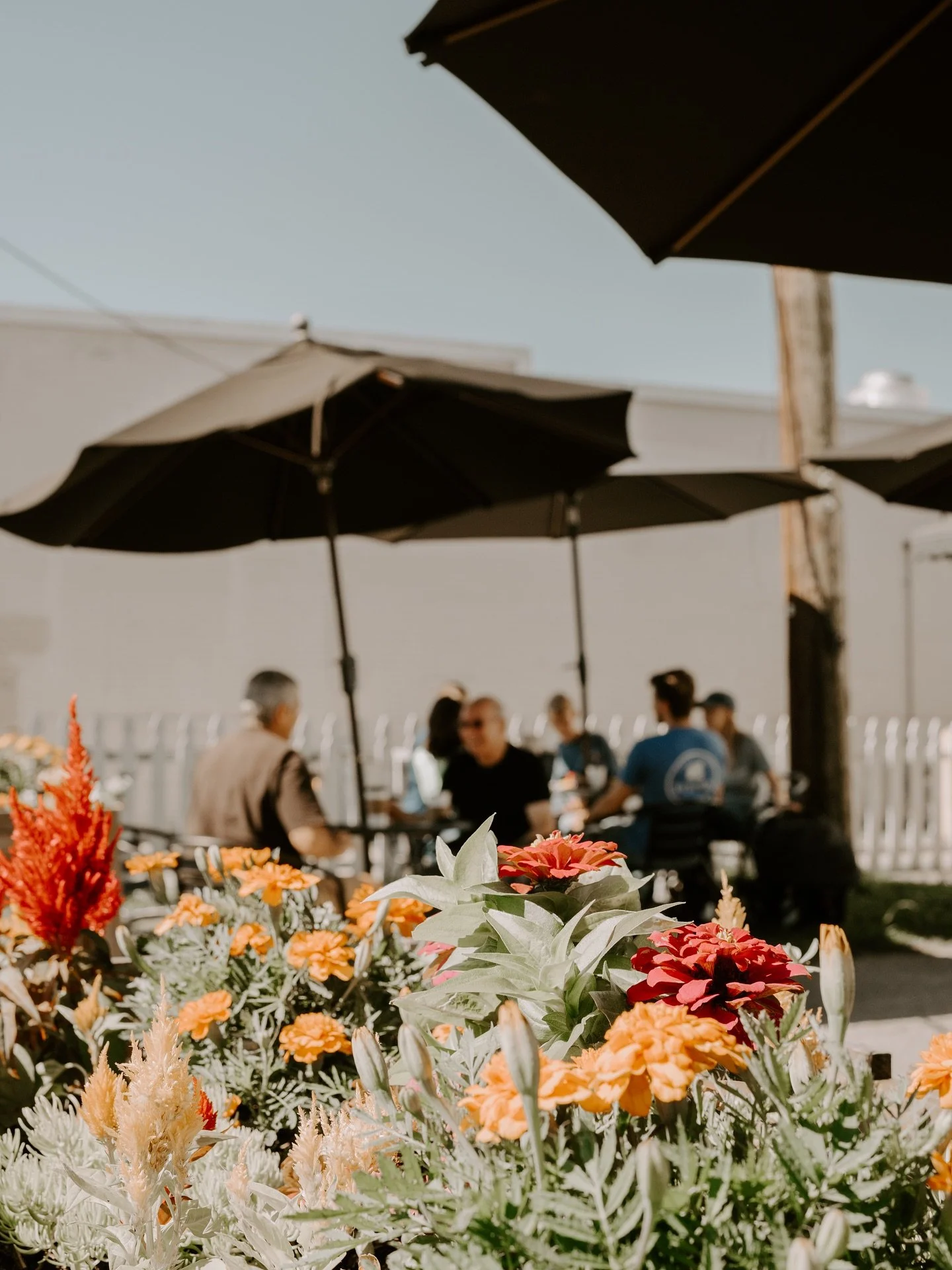Happy Saturday!!!!! We&rsquo;re soaking up the last days of summer &amp; prepping things for the fall!  We can&rsquo;t wait to see you today!