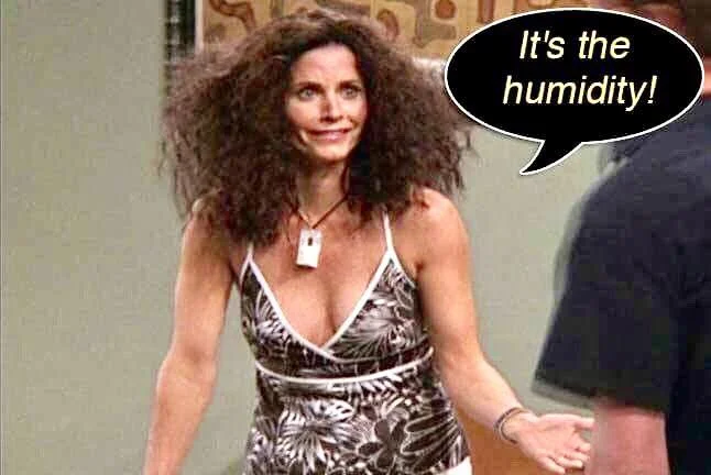 Monica-from-22Friends22.jpg