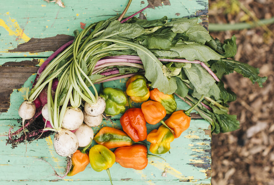Food systems: Where do we fit?