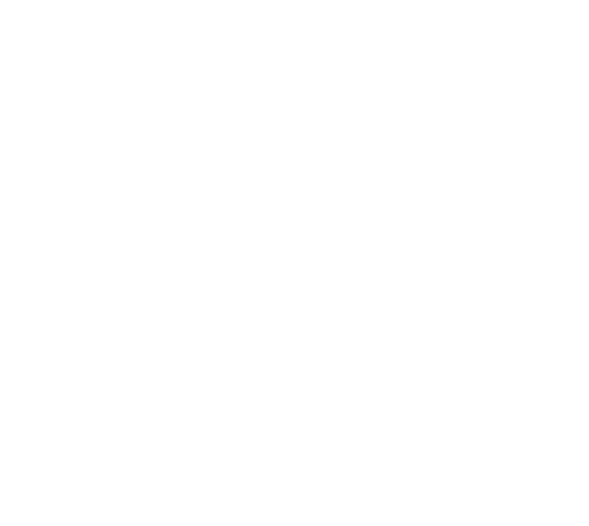 Sandro Demaio Foundation