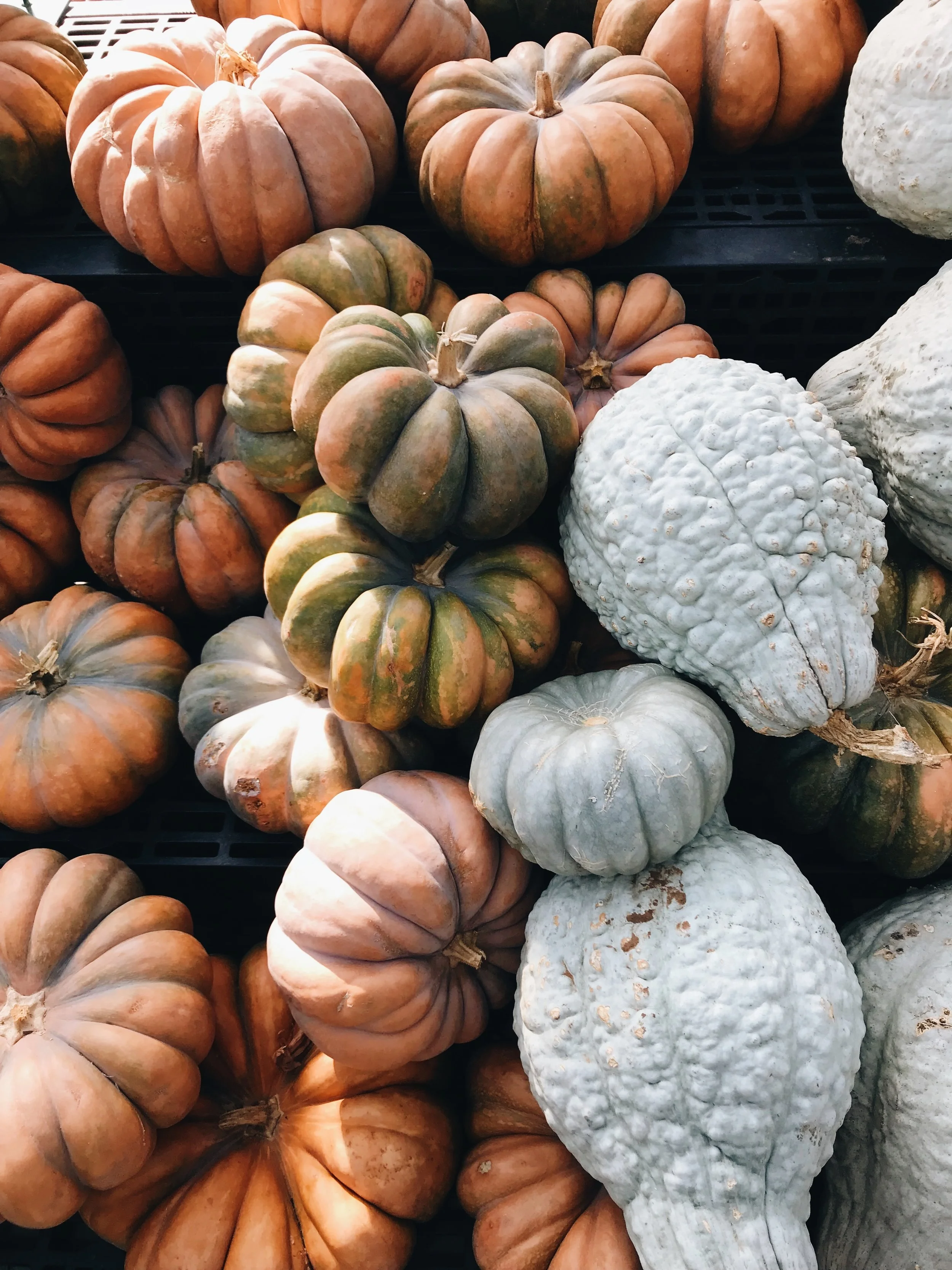 How do you successfully become a plant-forward eater? The challenges and how to overcome them.