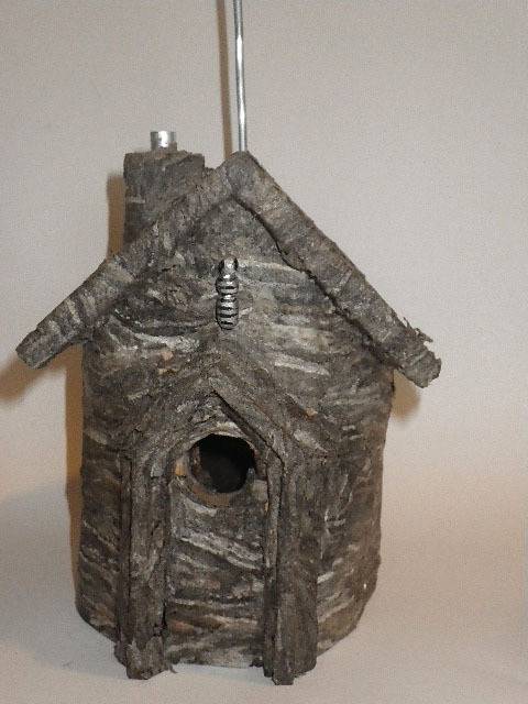 Wasp Nest