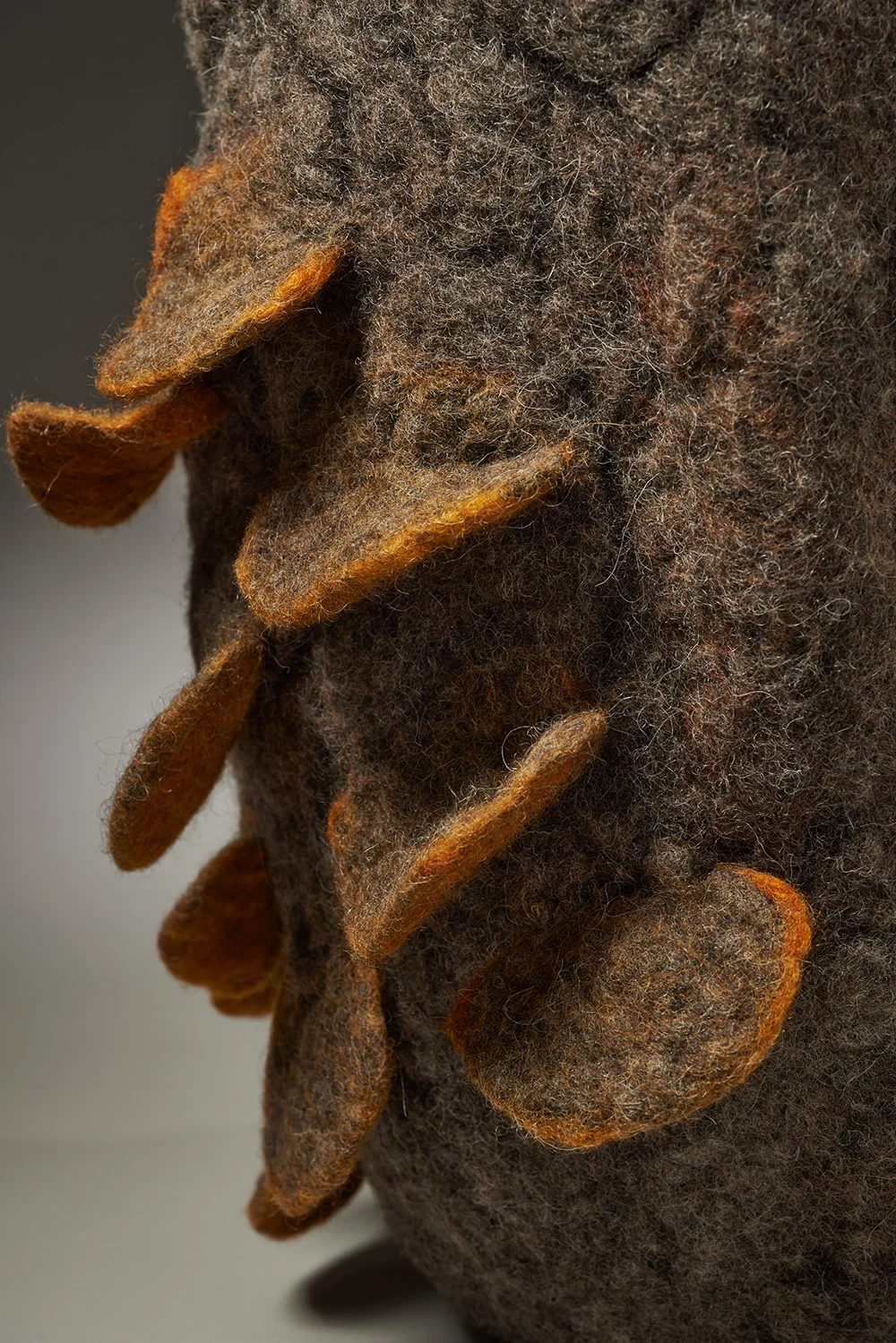 Shingle Fungus detail