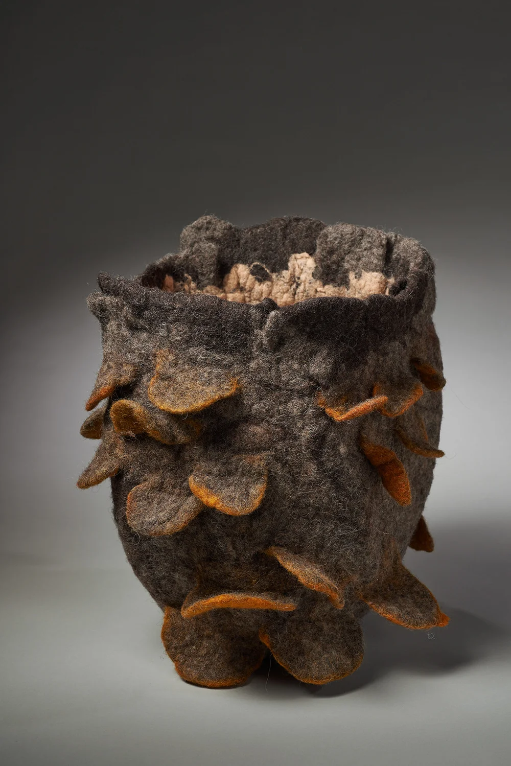 Shingle Fungus
