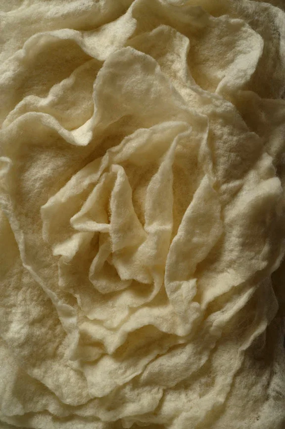 Flower ...De-Flowered (detail), 2009