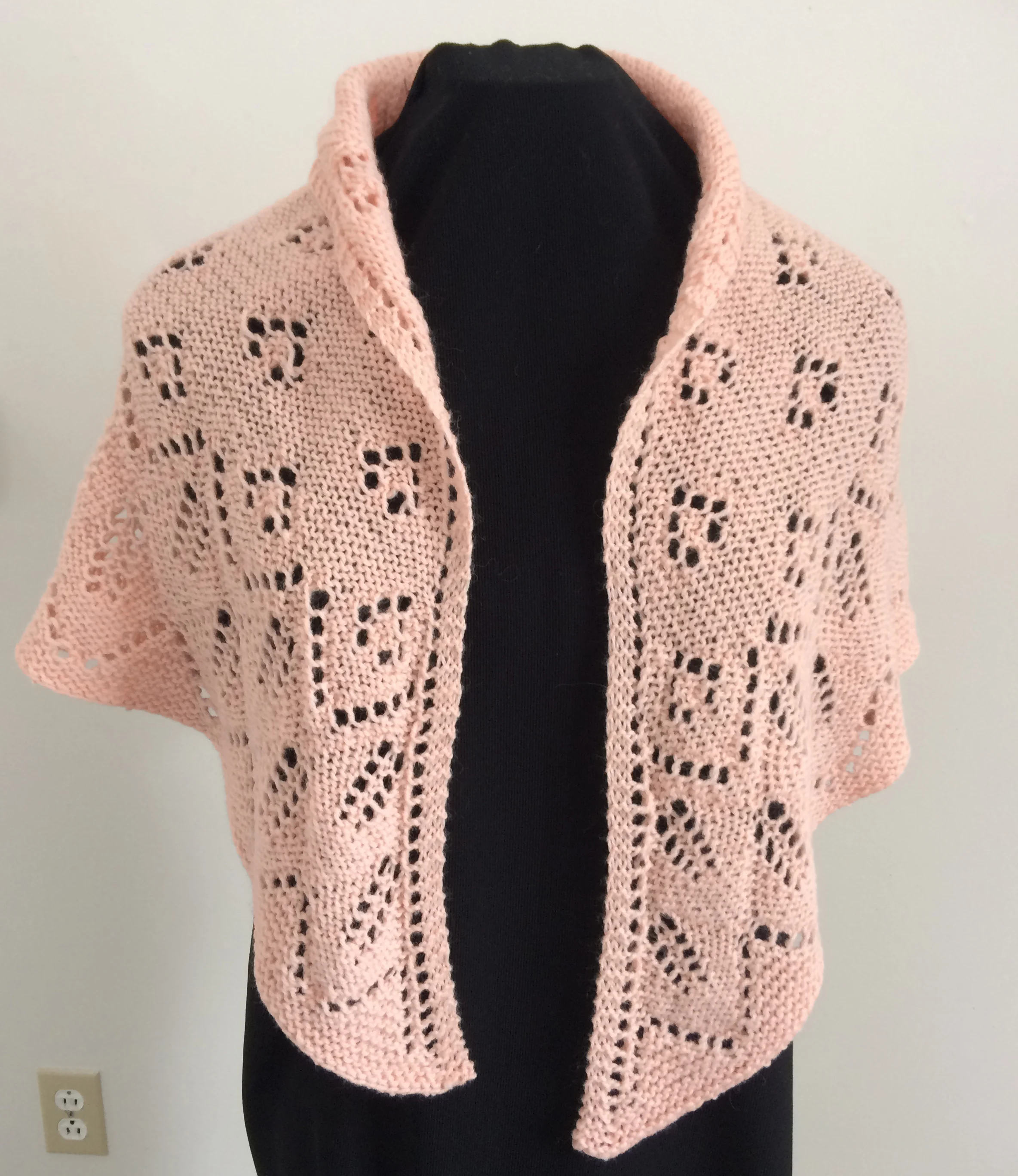 cm 31M08 Vee Style Winter Rose.jpg