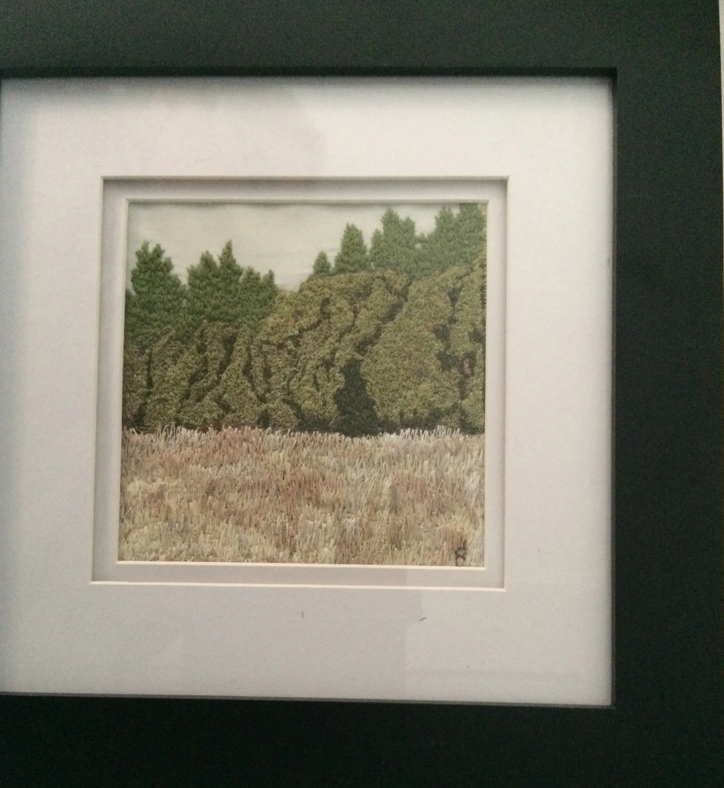 Donna Cutler Mushrooms in the Tall Grass, framed embroidery