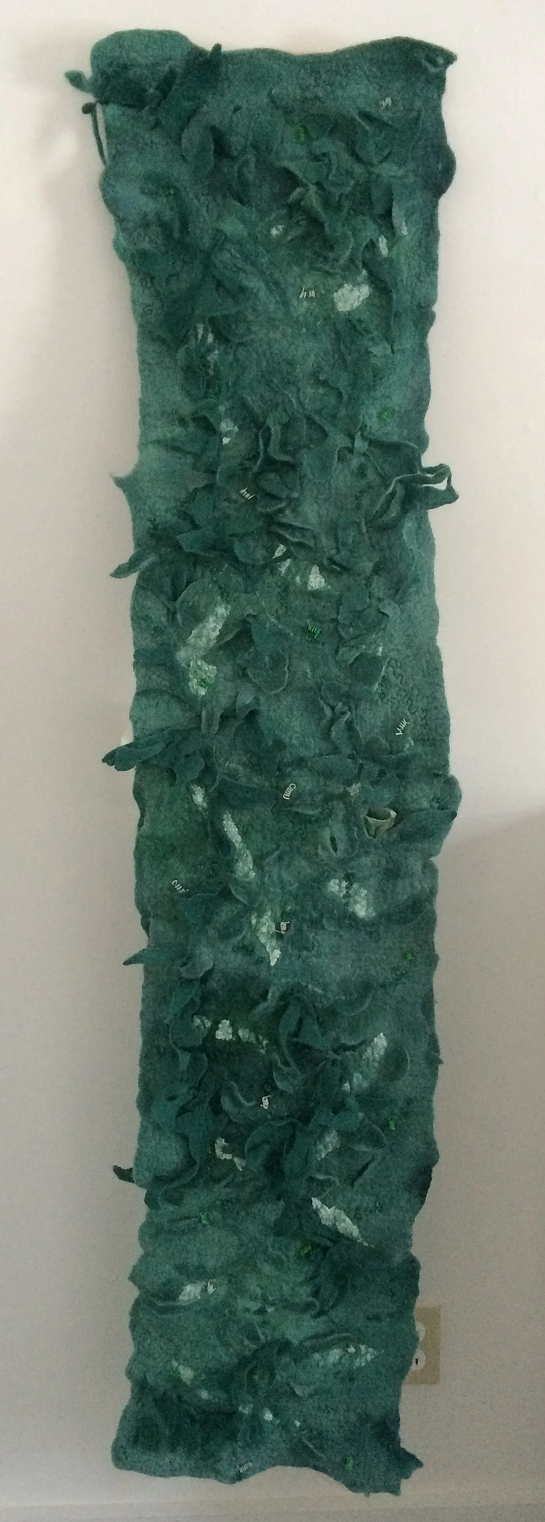 JJ Pea vine.jpg