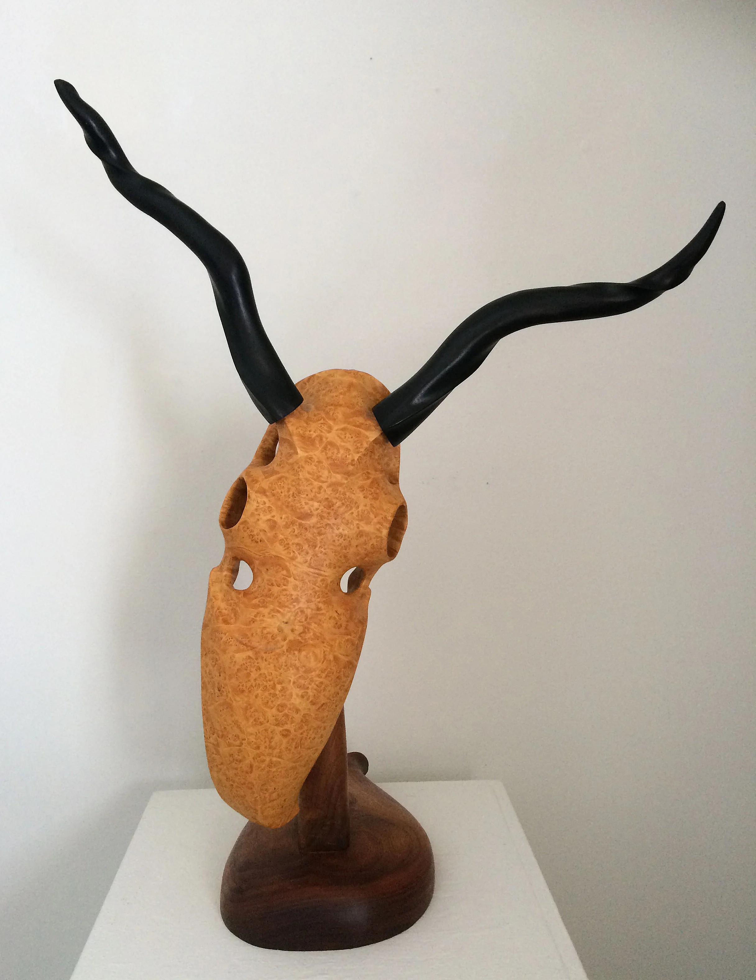 Jamie Russell dyed black horned maple burl mask