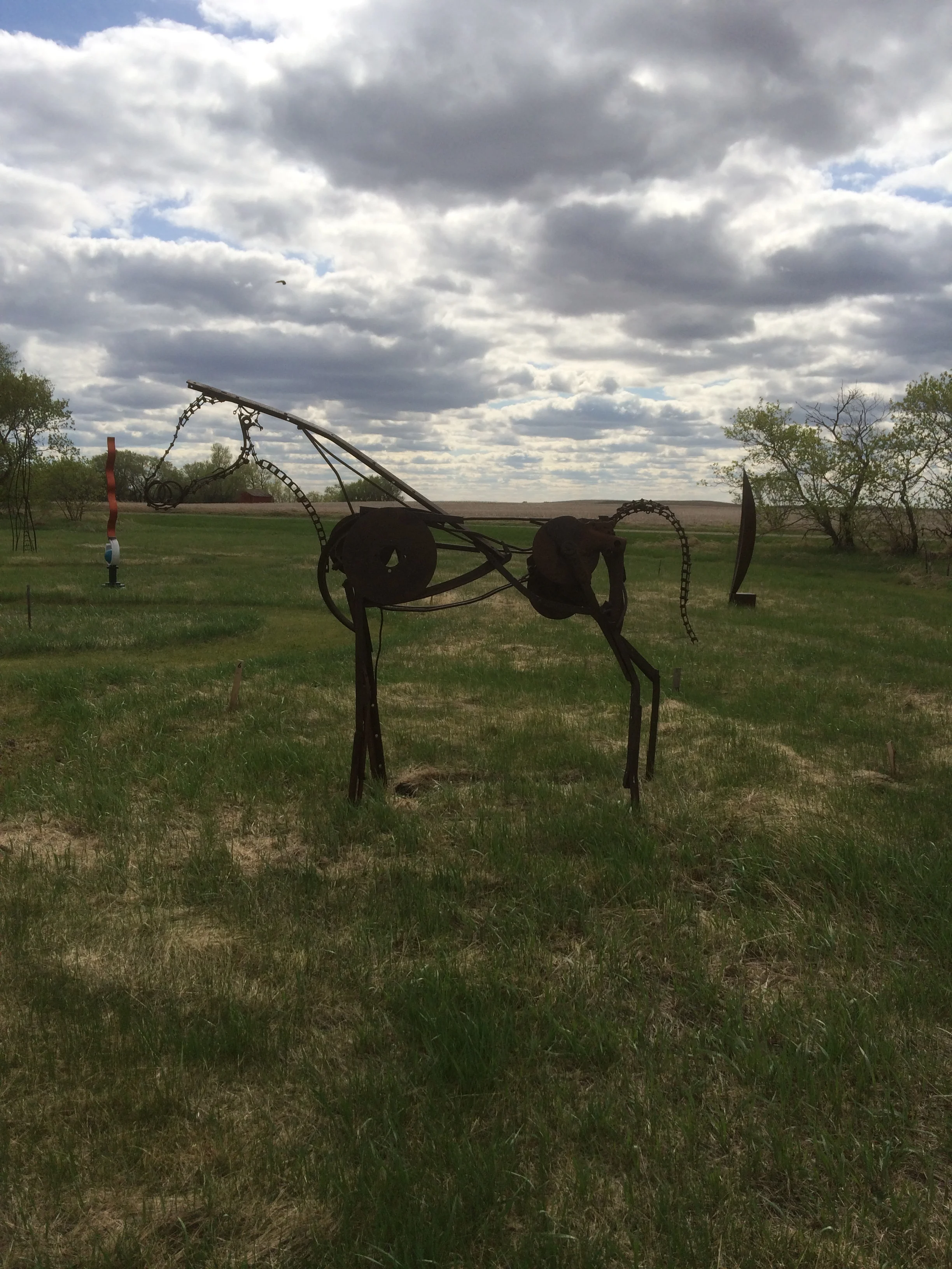 Payton Pony   spring photo