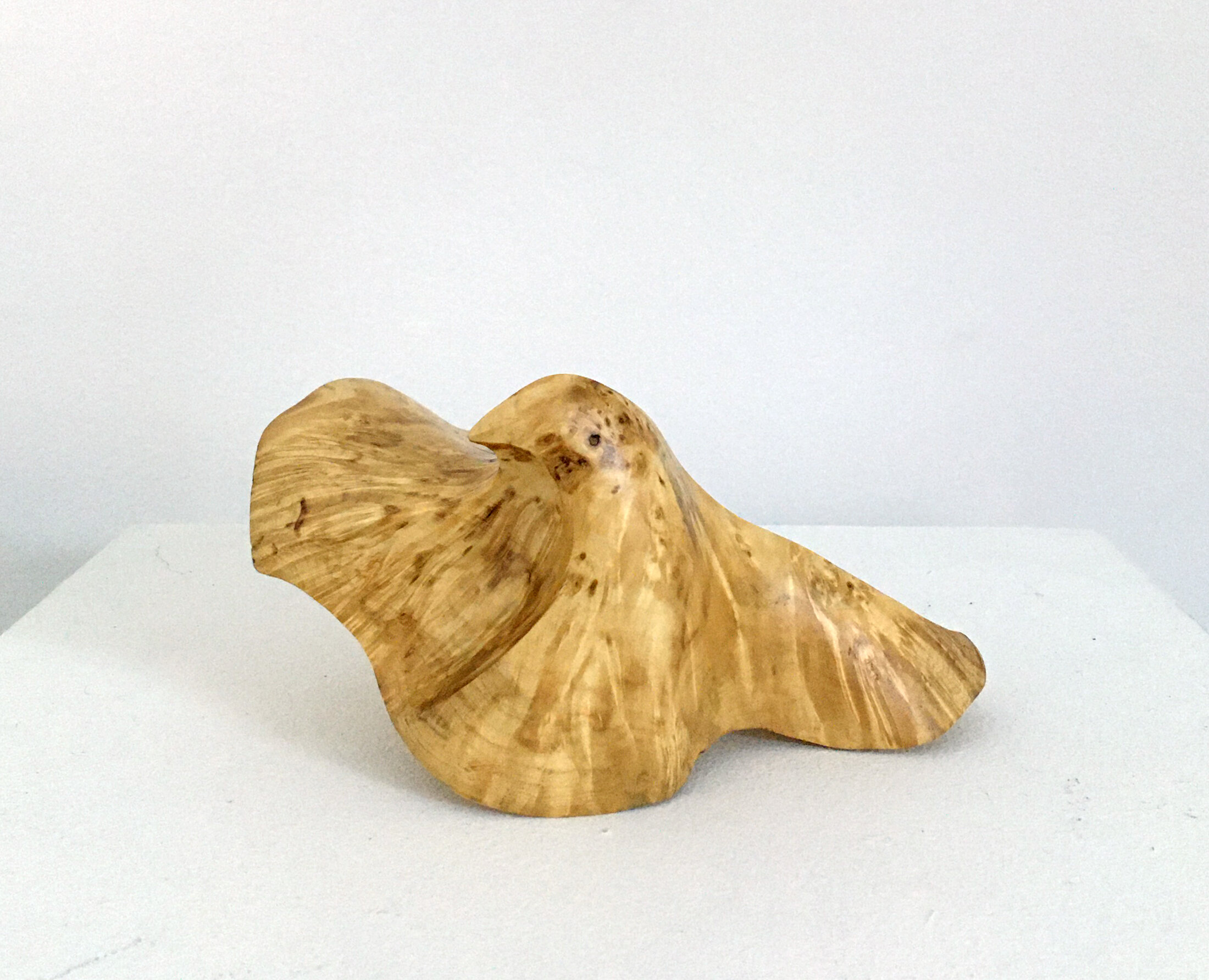 Jamie Russell Can - Can 