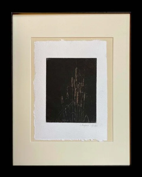 Louisa Ferguson  Typha 1