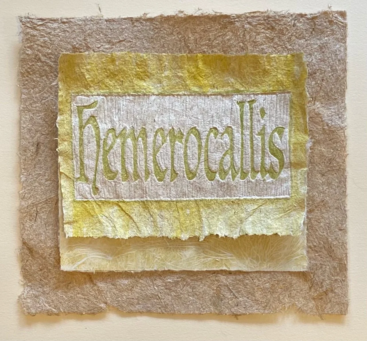 Louisa Ferguson  "Hemerocallis"