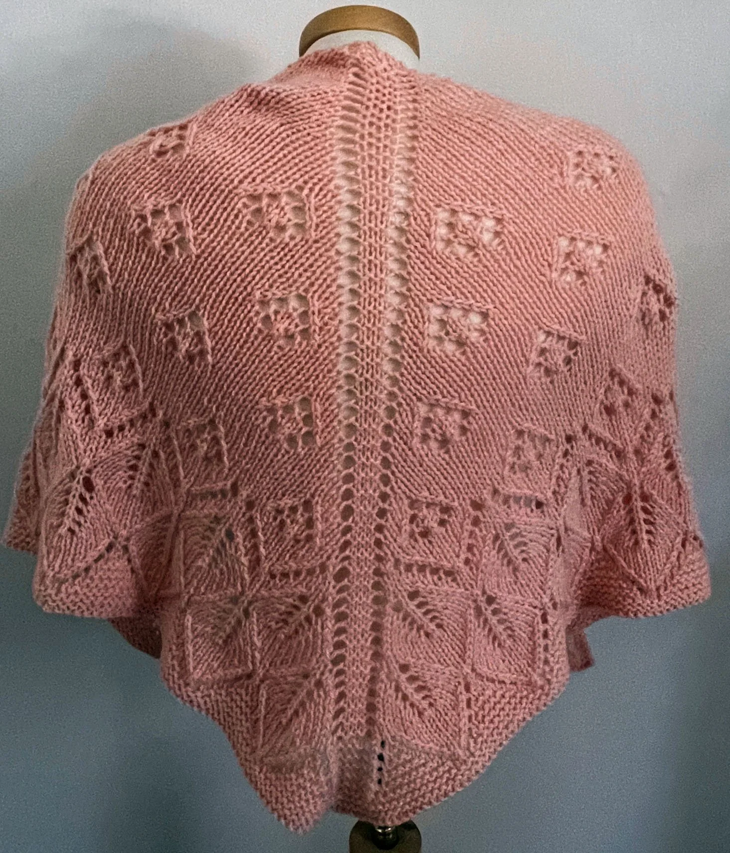 cm pink shawl back.jpg