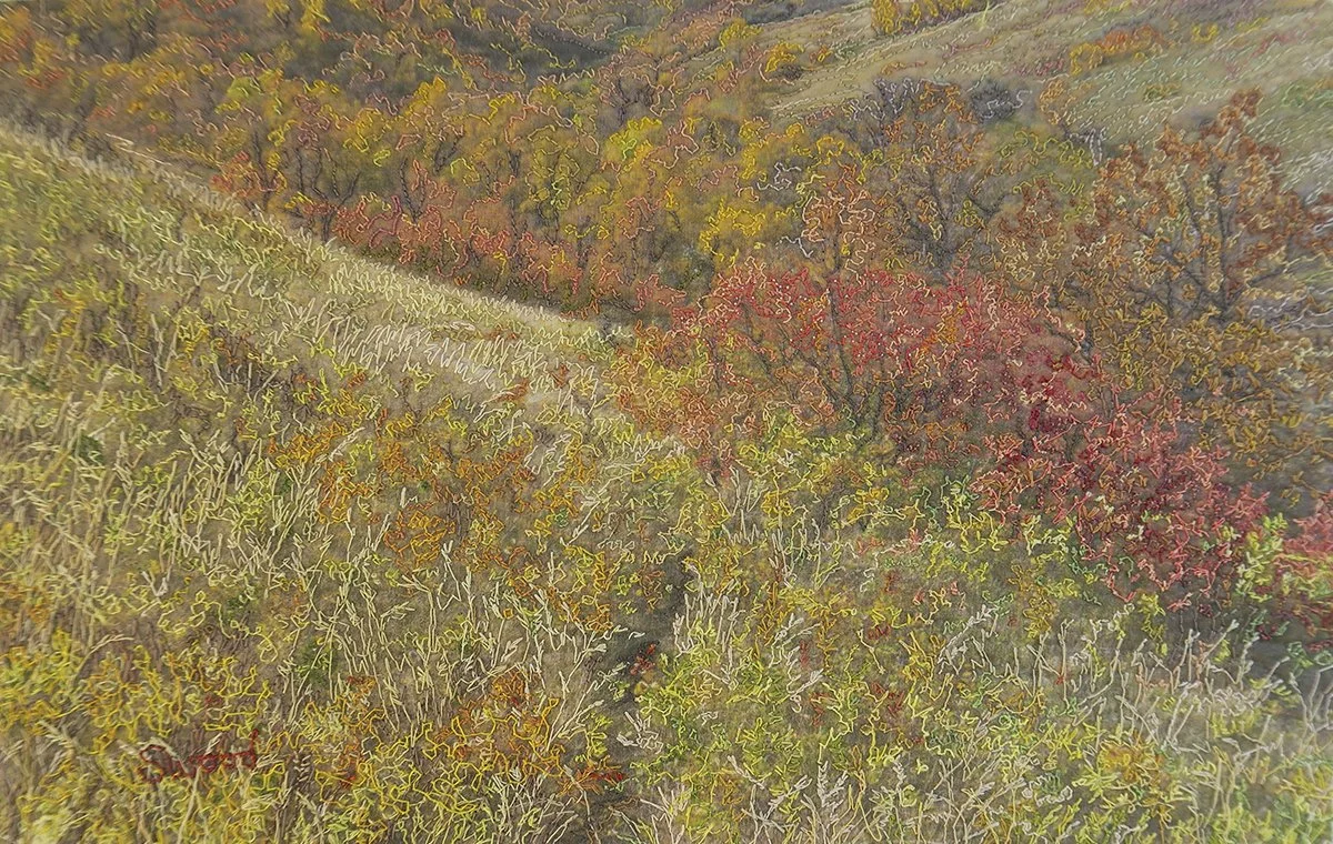 Shirley Wood  "Deer Trail"