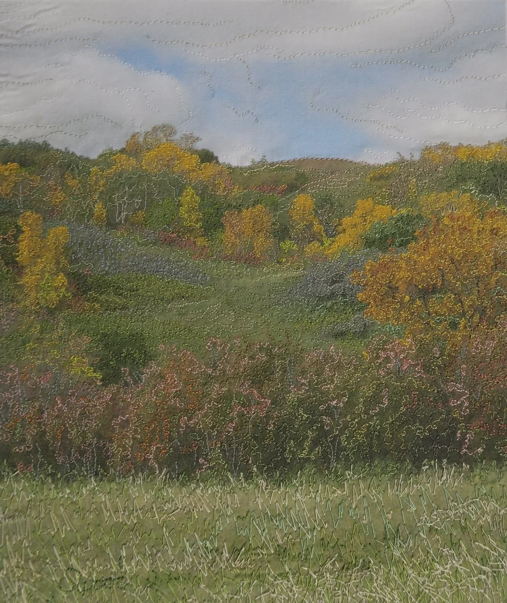 Shirley Wood  "pleasant View"