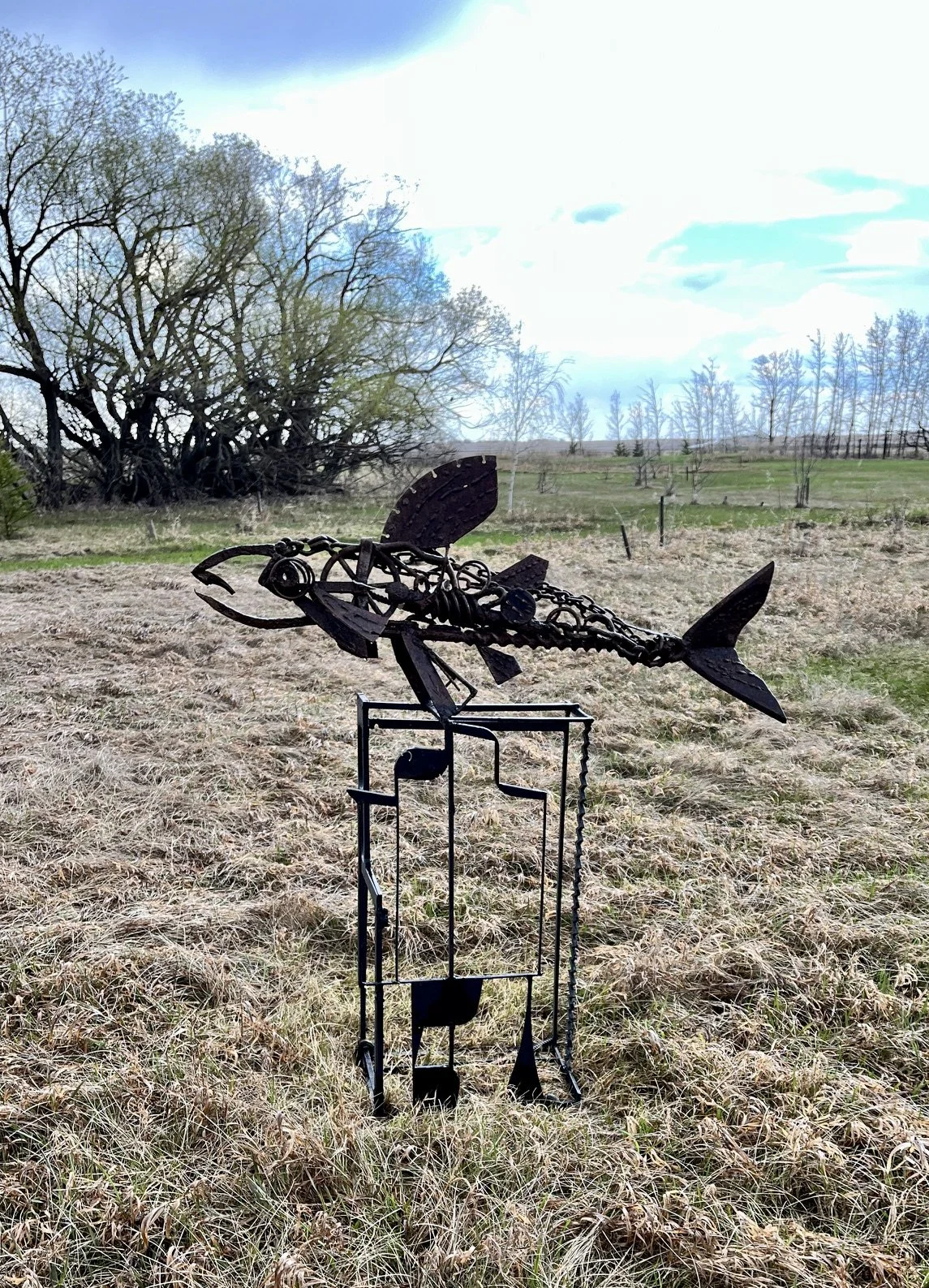 James Korpan     Spring Fantasy Trout