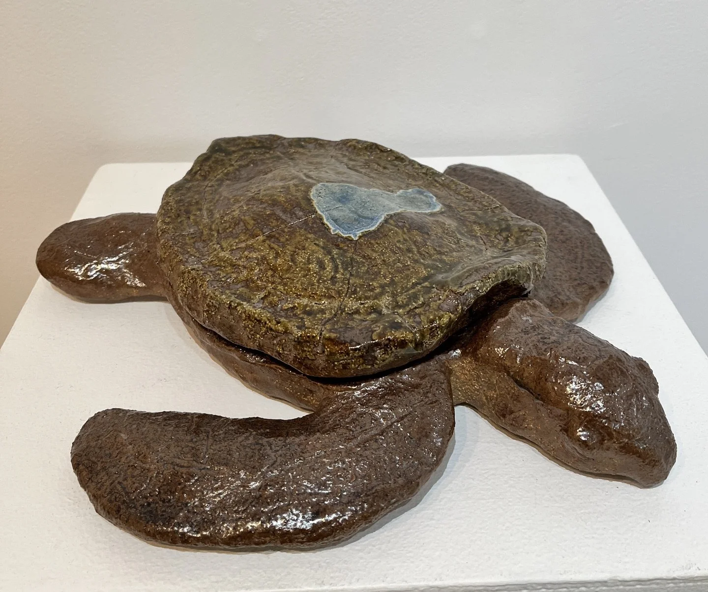 Devon Dietrich           Turtle