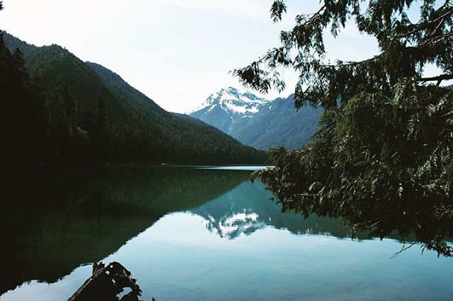 Summer mood by @d__v__a__ 
It's Monday, which means it's time to plan for next weekend's adventure... See you in Packwood! 
#packwoodlake #packwood #packwoodwa #campingseason #discoverlewiscounty