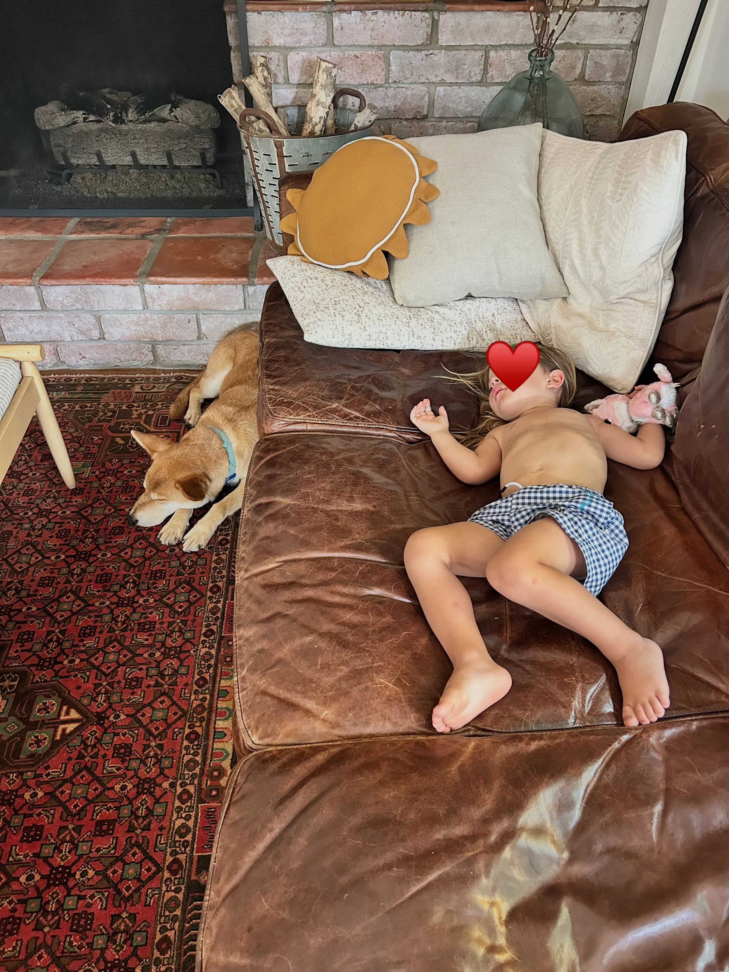 When your friend&rsquo;s little, who has never fallen asleep in a social setting ever, falls asleep during your 4th of July party, near the door to the back yard&hellip; best vibe compliment ever&hellip; the chi is chi&rsquo;ing and Ranger 🐶  is fee