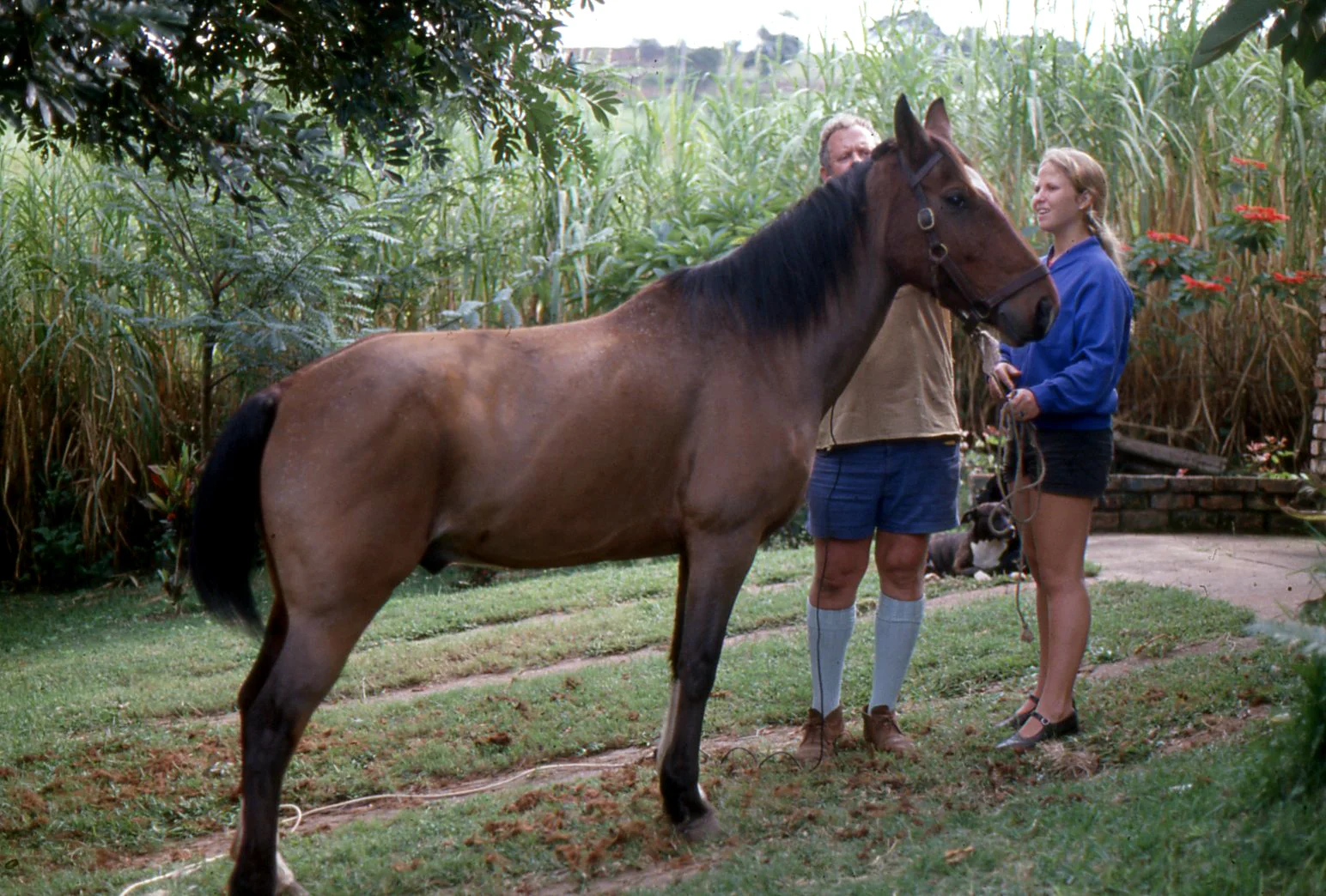 Both Frans & I grew up with animals. My Dad, Me and our Staffords (in the background).