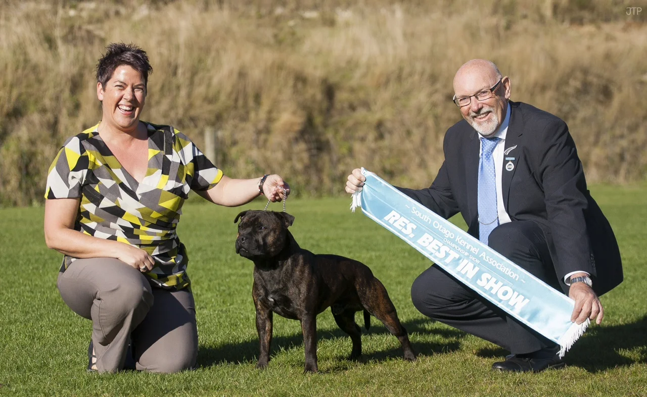 All breeds, Reserve Best In Show