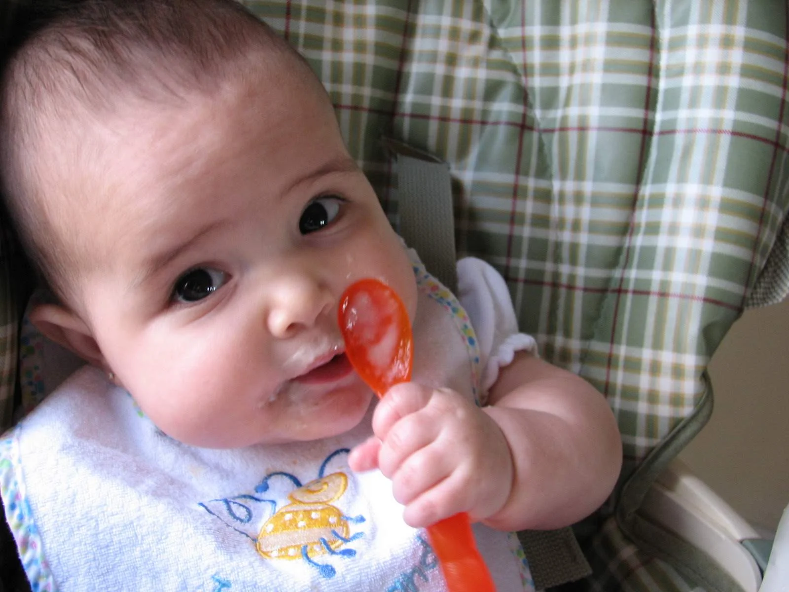 Baby-Led Weaning