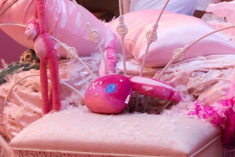 PILLOW-FIGHT_37100.jpg