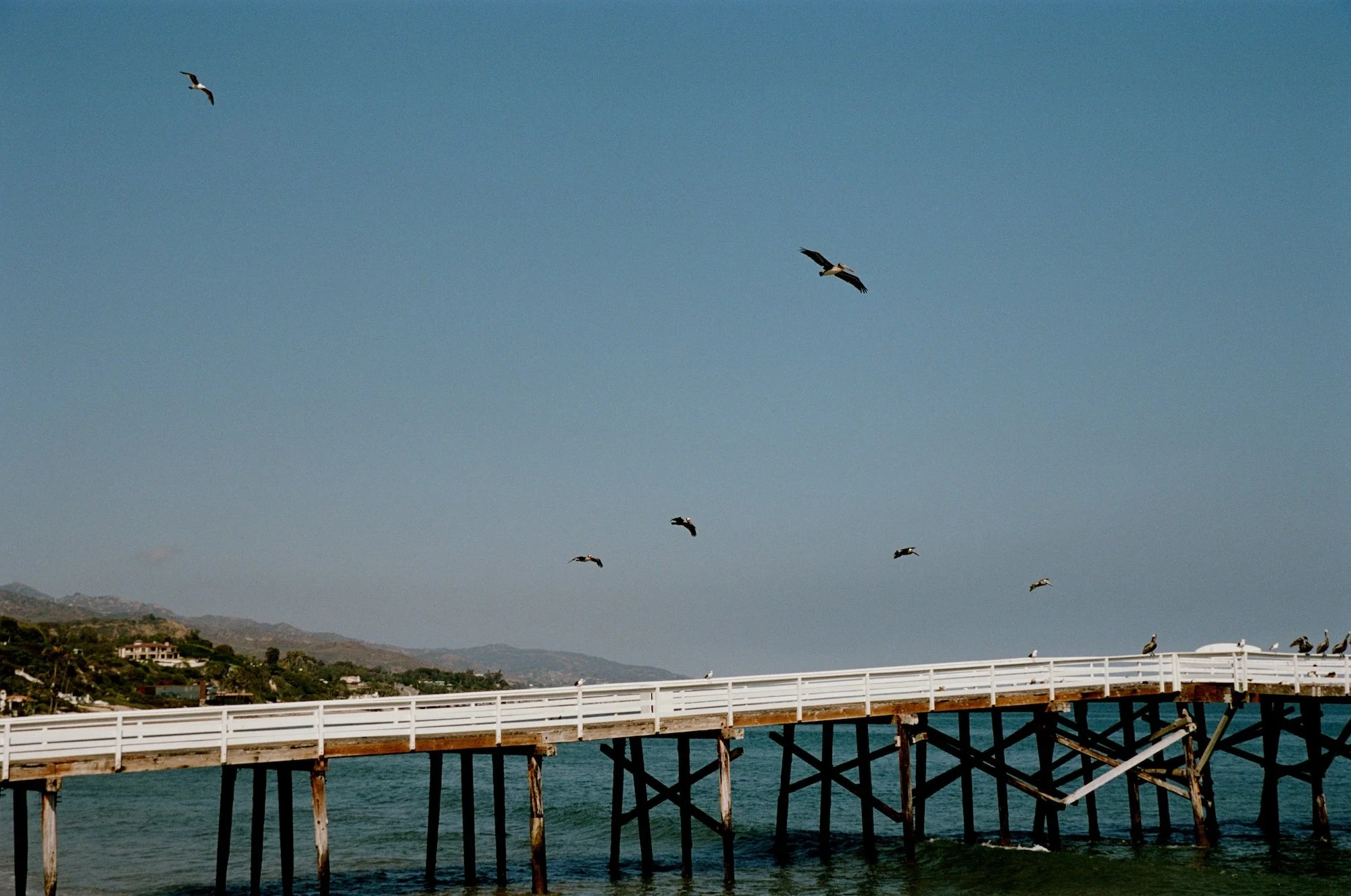 Scenery_227582.jpg