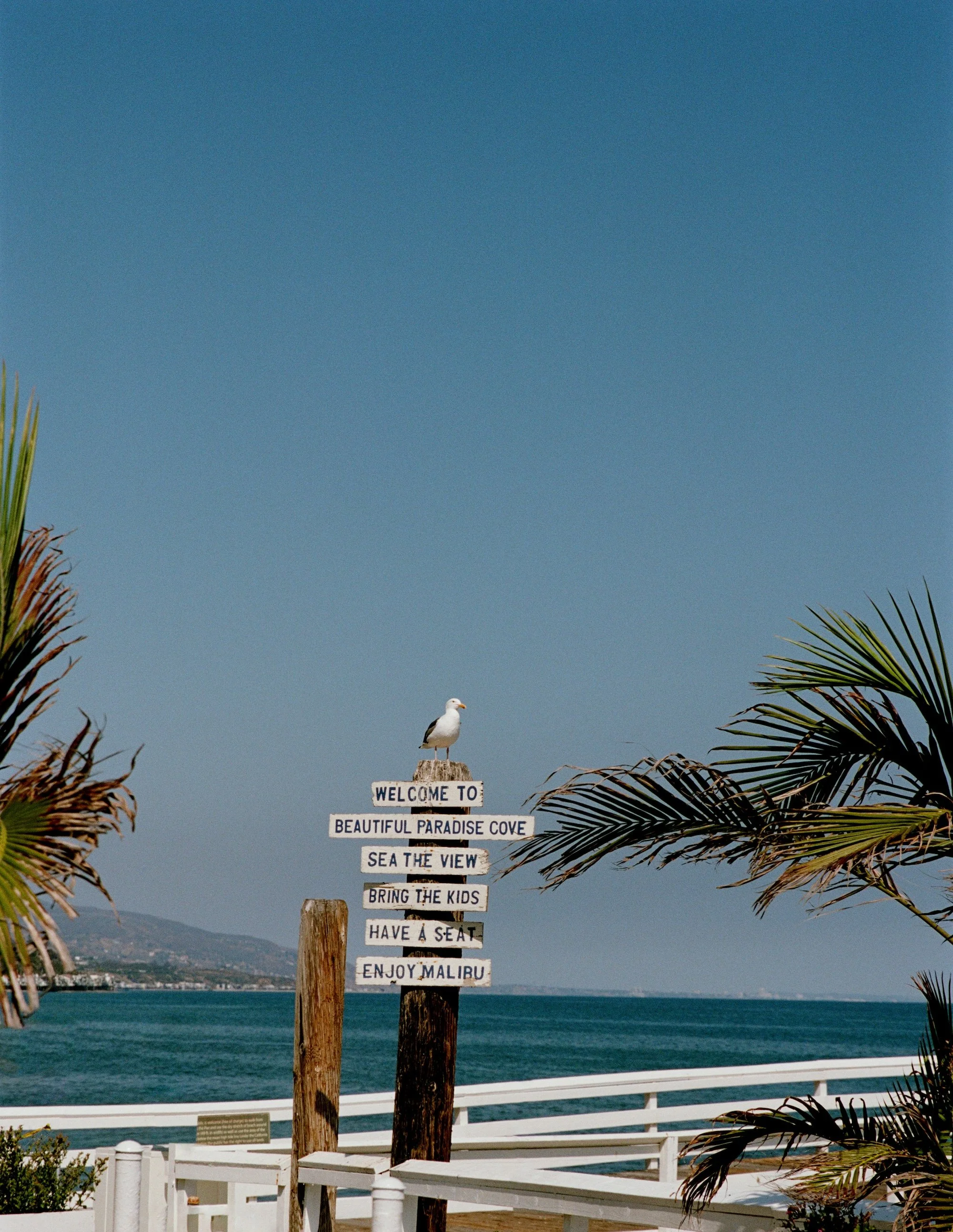 Scenery_227584.jpg