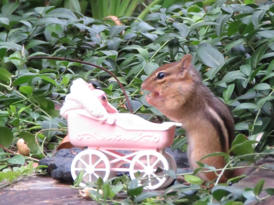 Welcome to the World!