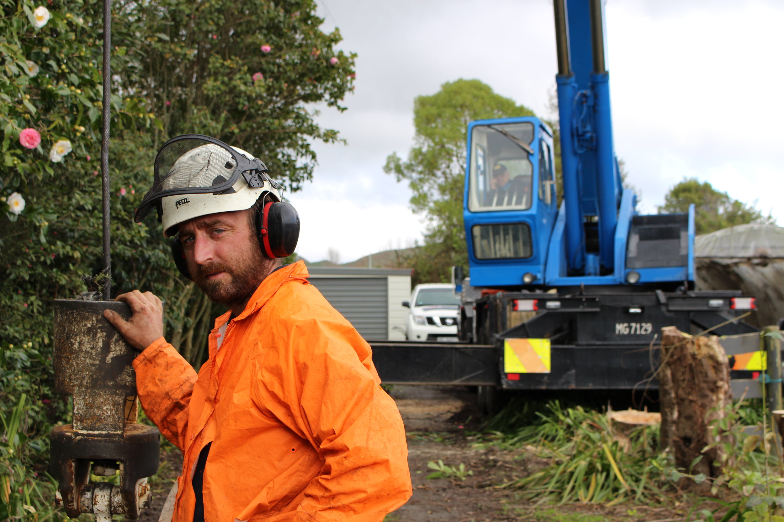 Horowhenua Tree Surgeon James Petrie