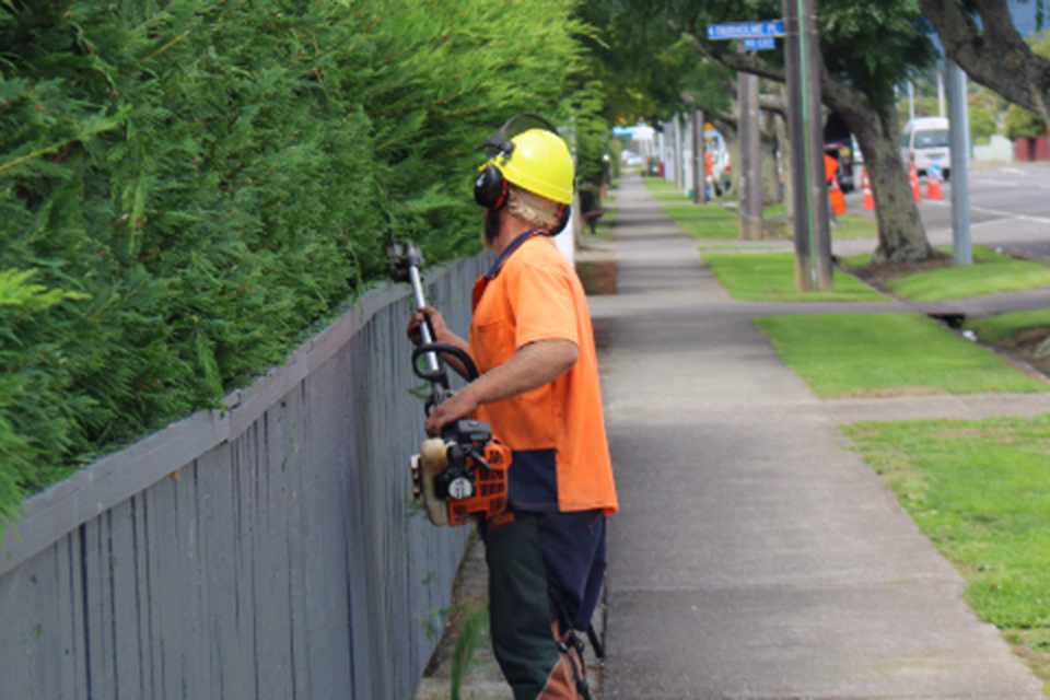 03-Hedge-trimming-3383.jpg