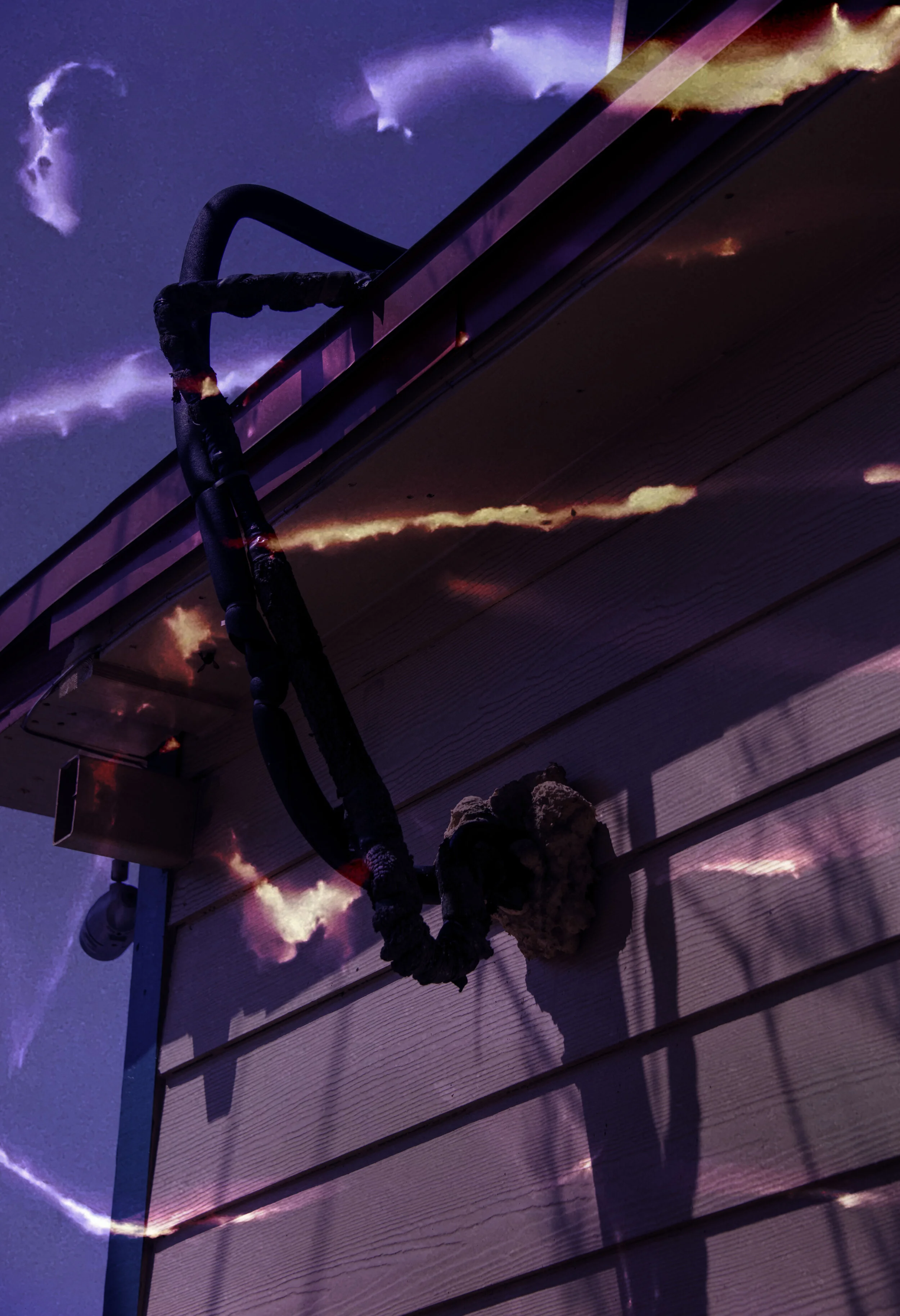 LumenLoci JRCrickets.JPG