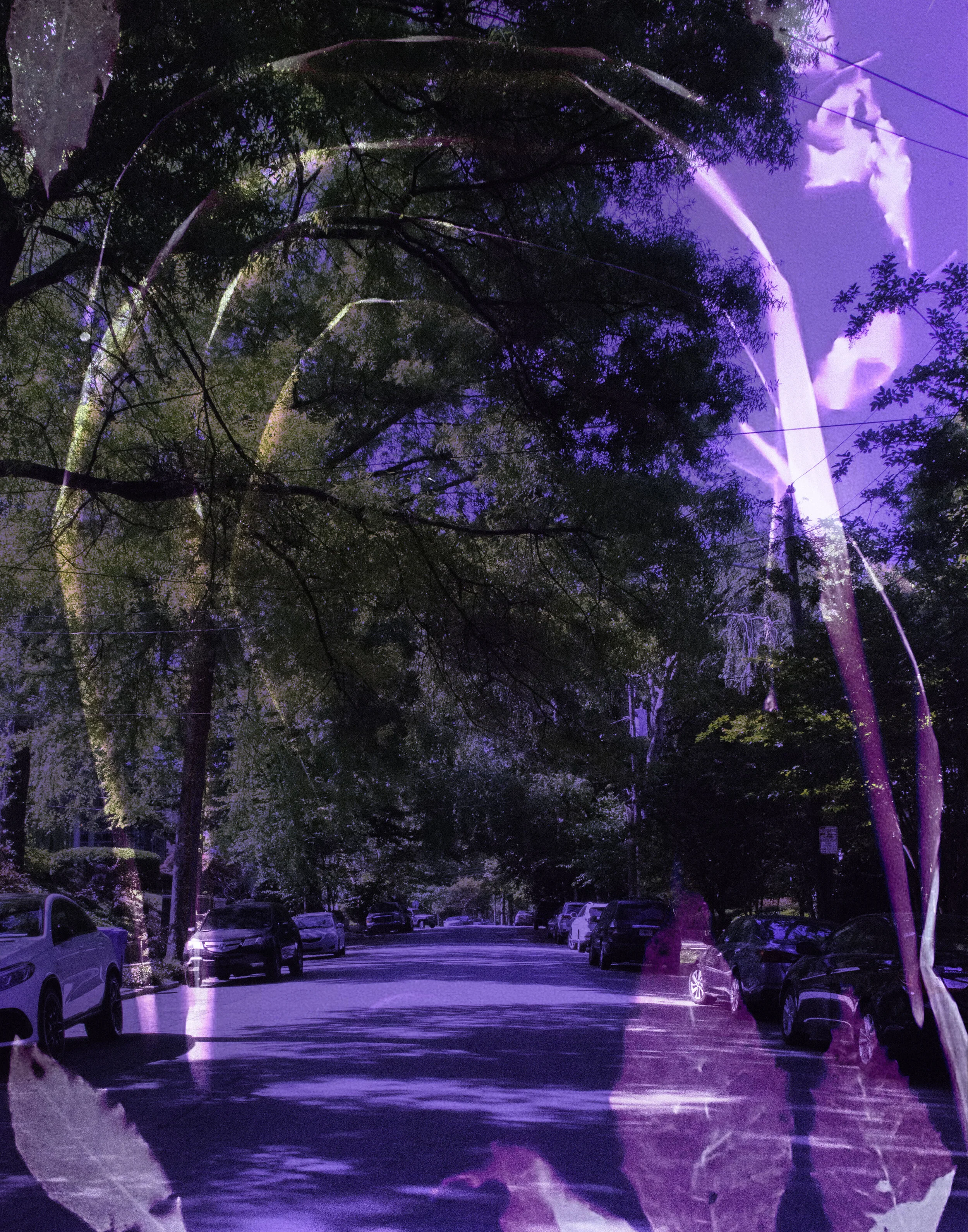 LumenLoci MyrtleSt.JPG